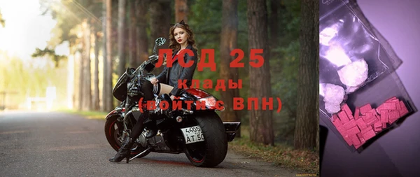 твердый Арсеньев
