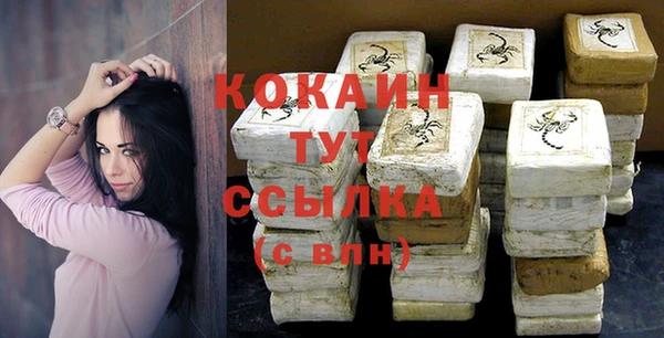 твердый Арсеньев