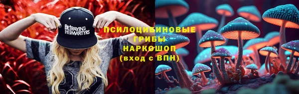 твердый Арсеньев