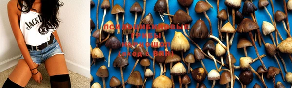 мяу мяу мука Армянск