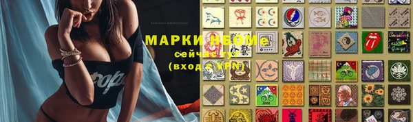 твердый Арсеньев